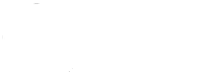 brainheart