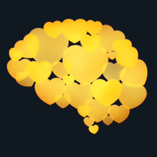 ALCHEMY - WOMEN'S MALI BOUTIQUE CAPPED SLEEVE Design