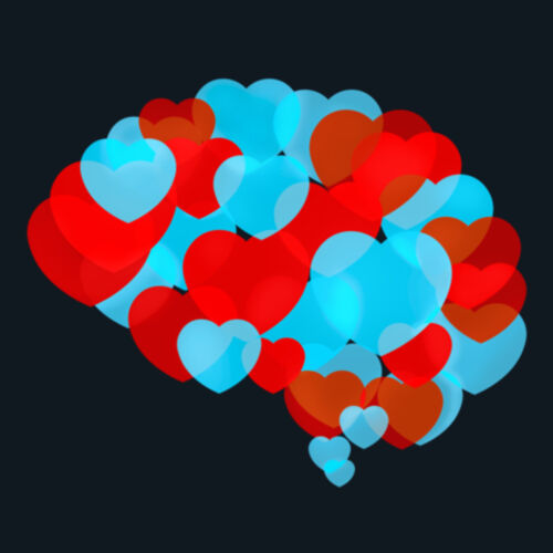 ROSES & VIOLETS - WOMEN'S MALI BOUTIQUE CAPPED SLEEVE Design